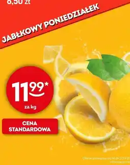 Żabka Cytryna oferta