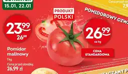 Żabka Pomidor malinowy oferta