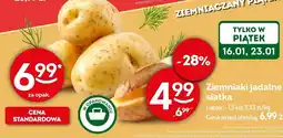 Żabka Ziemniaki jadalne siatka oferta