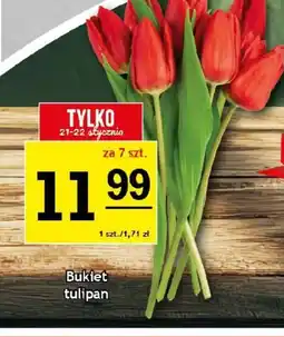 Gram Market Bukiet tulipan oferta