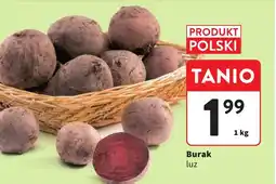 Intermarche Burak luz oferta