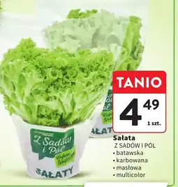 Intermarche Sałata Z Sadów i Pól oferta