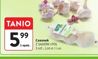 Czosnek Z SADOW I POL