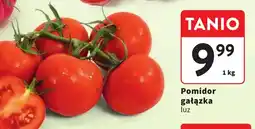 Intermarche Pomidor gałązka oferta