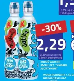 Hildebrandt Kubuś waterr pet tymbark oferta