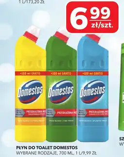 Top Market Płyn do toalet domestos oferta