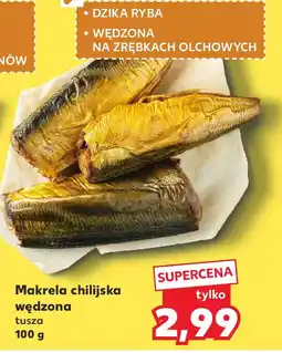 Kaufland Makrela chilijska wędzona tusza oferta