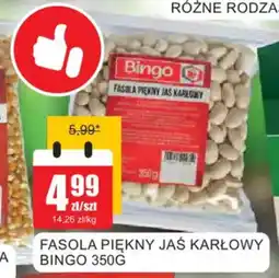 Bingo Fasola piękny jaś karłowy bingo oferta
