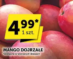 Euro Sklep Mango dojrzałe oferta