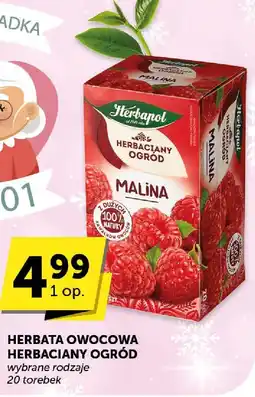Groszek Herbata owocowa Herbaciany Ogród malina wybrane rodzaje oferta