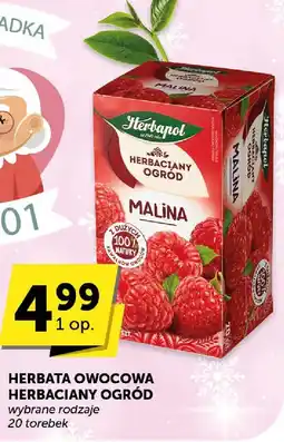 ABC Herbata owocowa Herbaciany Ogród Malina oferta