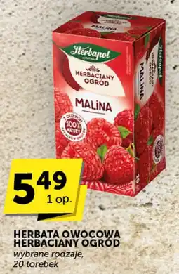 Euro Sklep Herbata owocowa herbaciany ogród różne rodzaje malina oferta