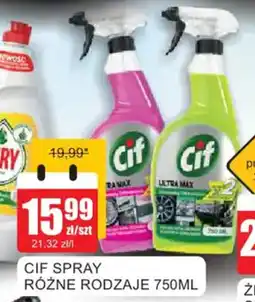 Bingo Cif spray oferta