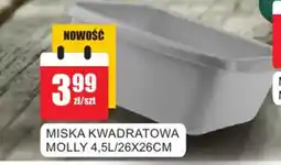 Bingo Miska kwadratowa molly 4,5l/26x26cm oferta