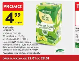 Intermarche Herbata Herbapol oferta