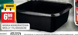 Bingo Miska kwadratowa molly 11 l/35x35cm oferta