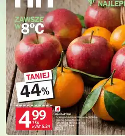 Selgros Mandarynki oferta