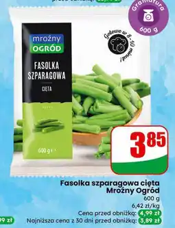 Dino Fasolka szparagowa cięta Mróżny Ogród oferta