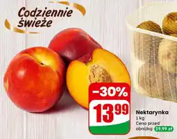 Dino Nektarynka oferta