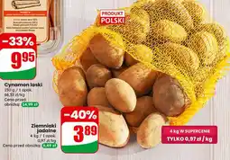 Dino Ziemniaki jadalne oferta