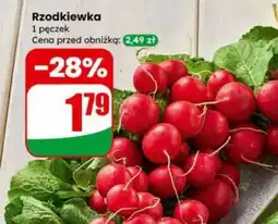 Dino Rzodkiewka oferta