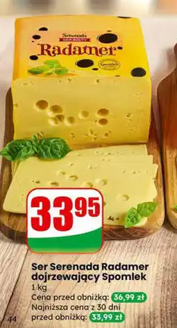Dino Serek puszysty Bakuś Bakoma różne rodzaje oferta