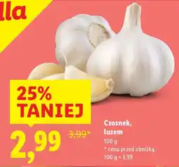 Lidl Ser Pilos Ser gouda w kawałku oferta