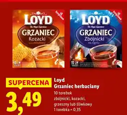 Lidl Ser Pilos Ser gouda w kawałku oferta