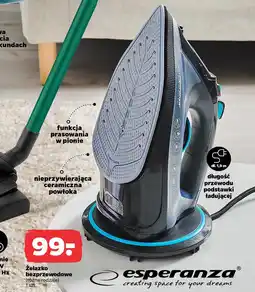 Netto Żelazko bezprzewodowe oferta