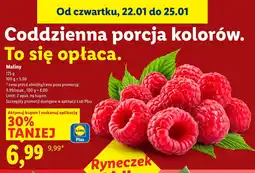 Lidl Maliny oferta