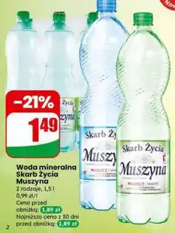 Dino Woda mineralna Skarb Życia Muszyna oferta
