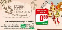 Dino Lizak roksowy owocowy IDC Polonia oferta