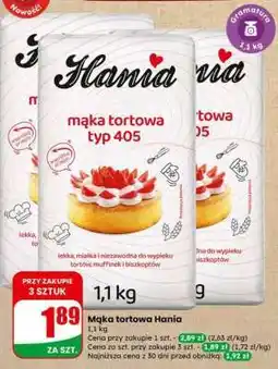 Dino Mąka tortowa Hania oferta