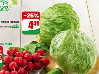 Dino Sałata lodowa oferta