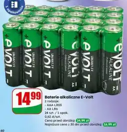 Dino Baterie alkaliczne E Volt oferta