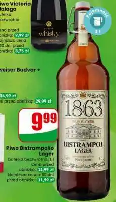Dino Piwo Bistrampolio Lager oferta