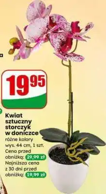Dino Kwiat sztuczny storczyk w doniczce oferta