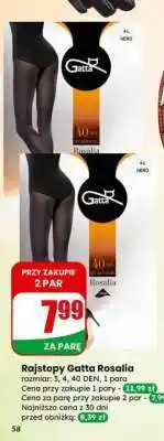 Dino Rajstopy Gatta Rosalia oferta