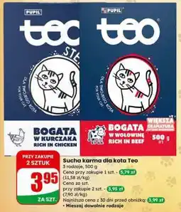 Dino Sucha karma dla kota Teo oferta