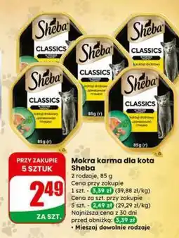 Dino Mokra karma dla kota Sheba oferta