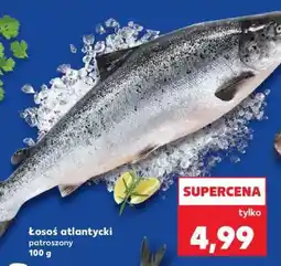 Kaufland Łosoś atlantycki oferta