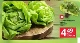 Selgros Sałata masłowa z bryłą oferta