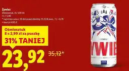 Lidl Żywiec, piwo oferta