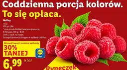 Lidl Maliny (Raspberries) oferta