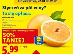 Lidl Pomelo żółte oferta