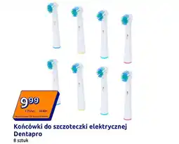 Action Końcówki do szczoteczki elektrycznej Dentapro (8 sztuk) oferta