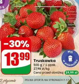 Dino Truskawka oferta