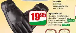 Dino Rękawiczki skórzane / materiałowe damskie / męskie oferta