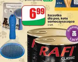 Dino Szczotka dla psa, kota samoczyszcząca oferta