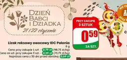 Dino Lizak roksy owocowy oferta